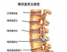 汕头市骨科医院排名